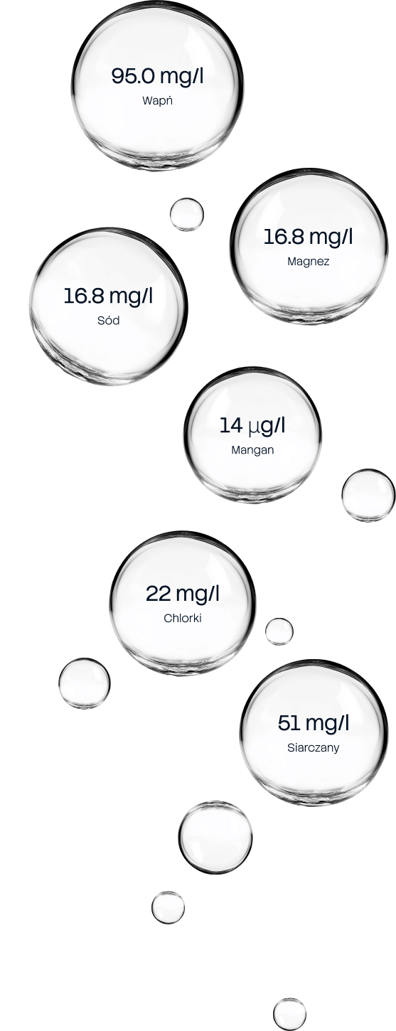 95.0 mg/l Wapń, 16.8 mg/l Magnez, 16.8 mg/l Sód, 14 μg/l Mangan, 22 mg/l Chlorki, 51 mg/l Siarczany